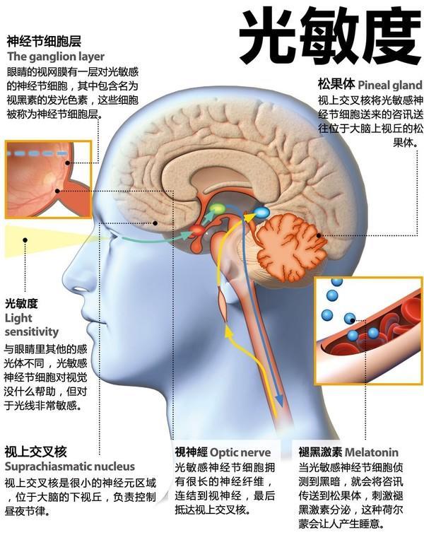 螢幕式失眠